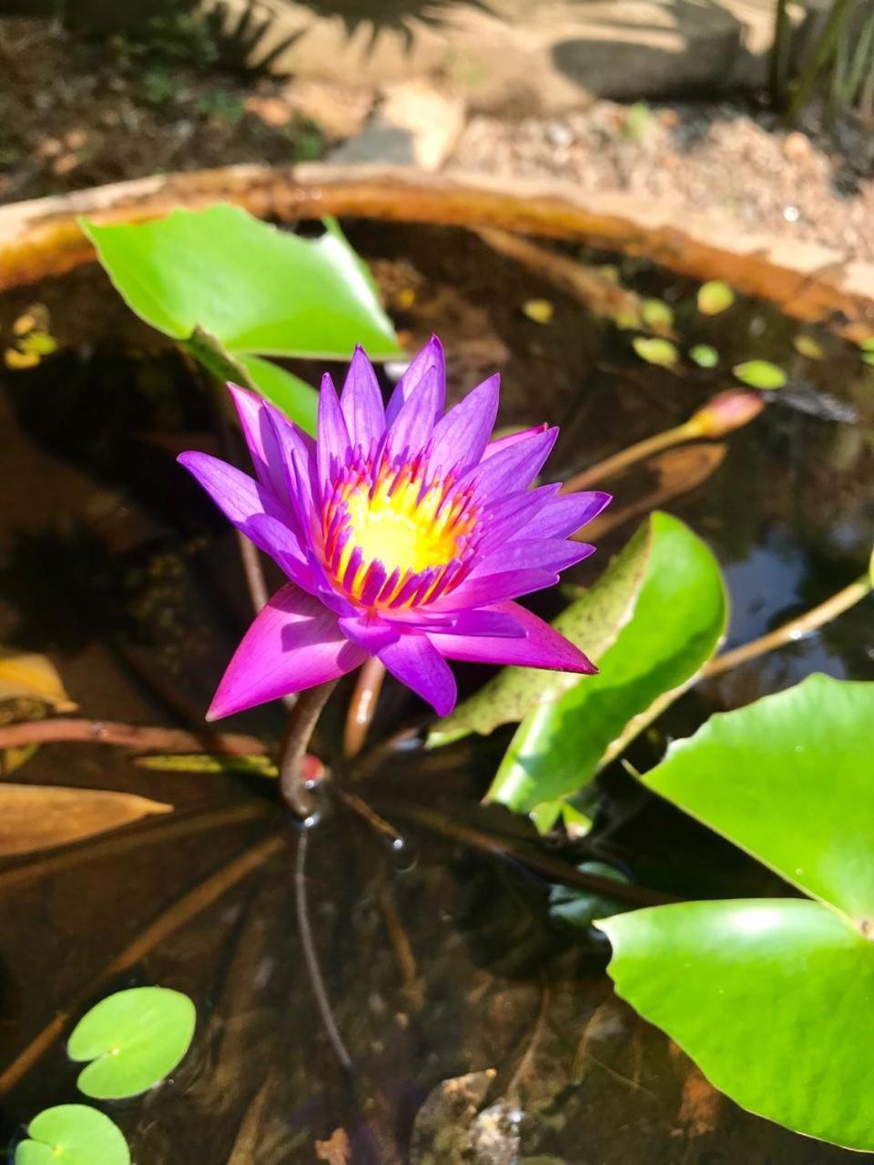 Mass Eco Cabana Yoga & Spa - ウナワトゥナ エクステリア 写真